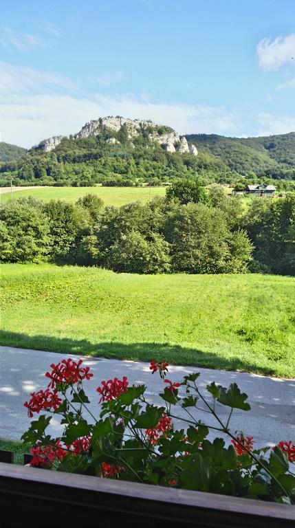 Penzion Manin Považská Bystrica Εξωτερικό φωτογραφία